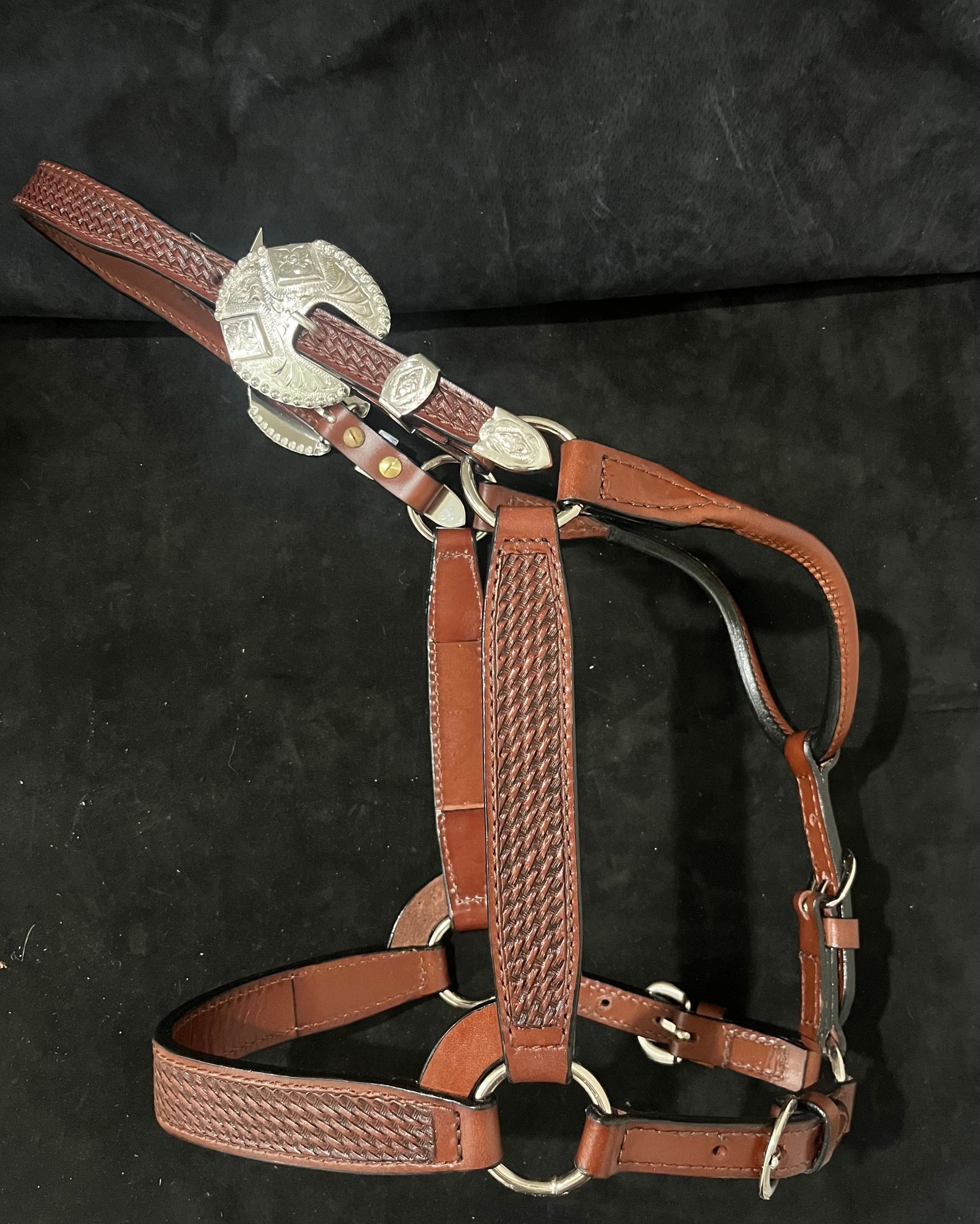 1238 Basket Weave Halter w/ Silver Buckles — Dale Chavez Saddlery